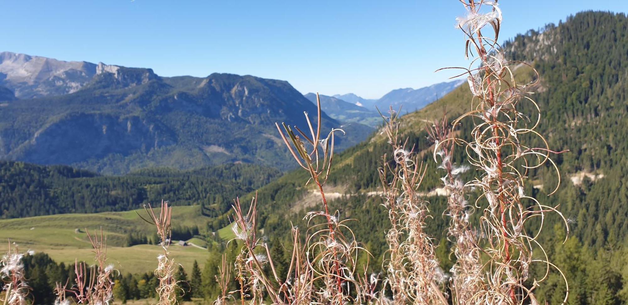 Ferienhaus Mountain View Spital Am Pyhrn Εξωτερικό φωτογραφία
