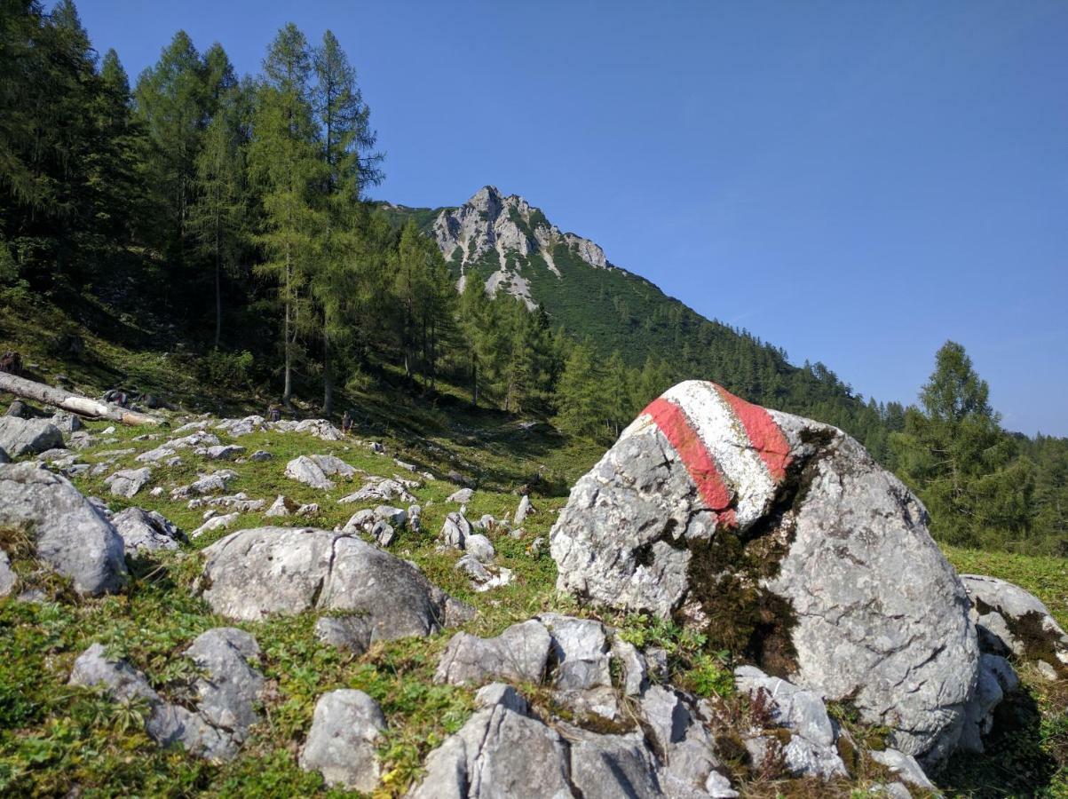 Ferienhaus Mountain View Spital Am Pyhrn Εξωτερικό φωτογραφία