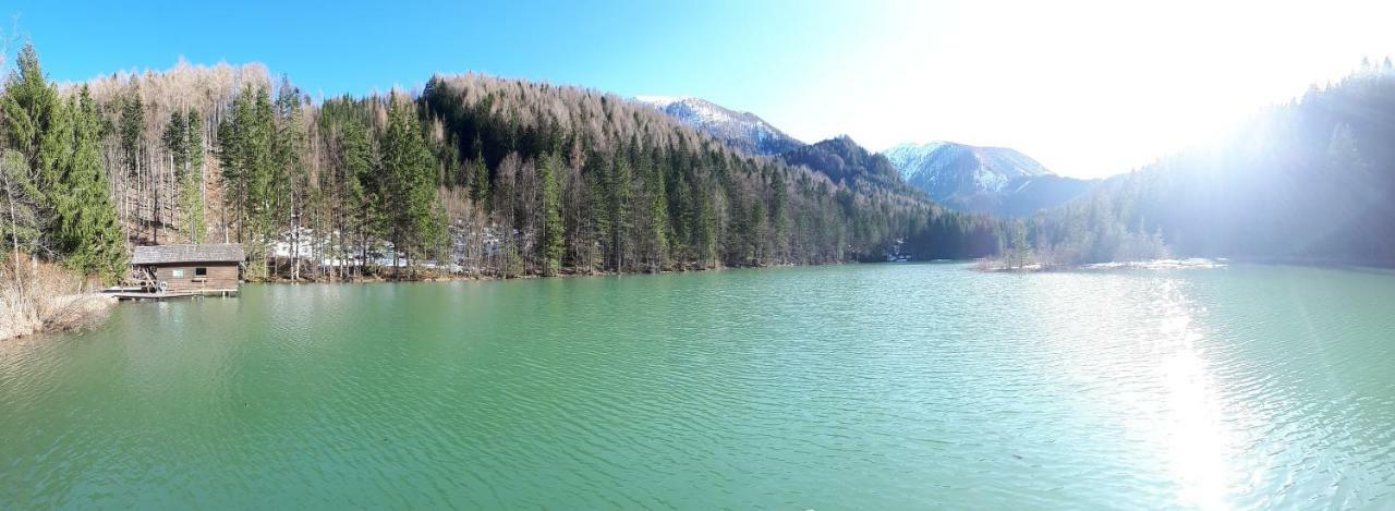 Ferienhaus Mountain View Spital Am Pyhrn Εξωτερικό φωτογραφία